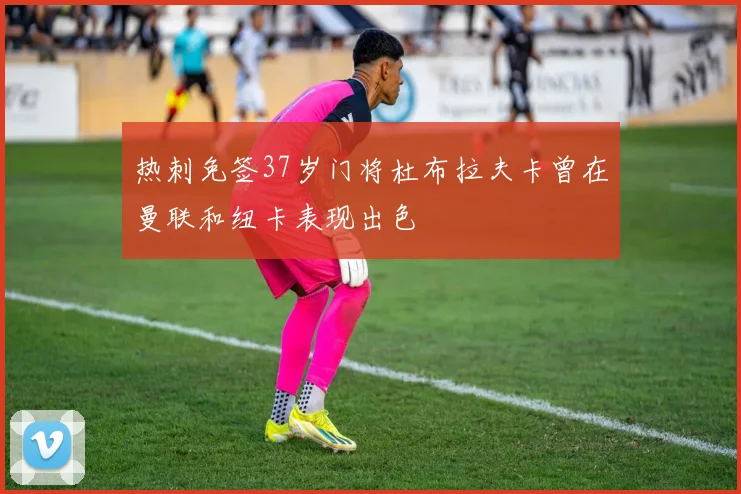 热刺免签37岁门将杜布拉夫卡曾在曼联和纽卡表现出色